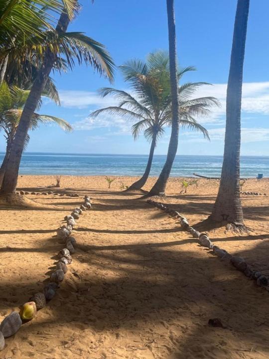 Oceanview Apartment Steps To The Beach Luquillo Ngoại thất bức ảnh